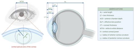 ocular measure thickeness|ophthalmic measurements.